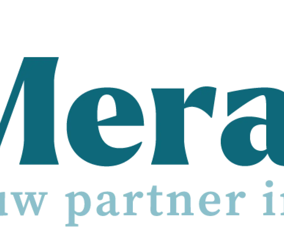 Logo van Merander met een rond beeldmerk in lichtblauw, donkergroen en okergeel, naast de tekst 'Merander – Jouw partner in verandering'.