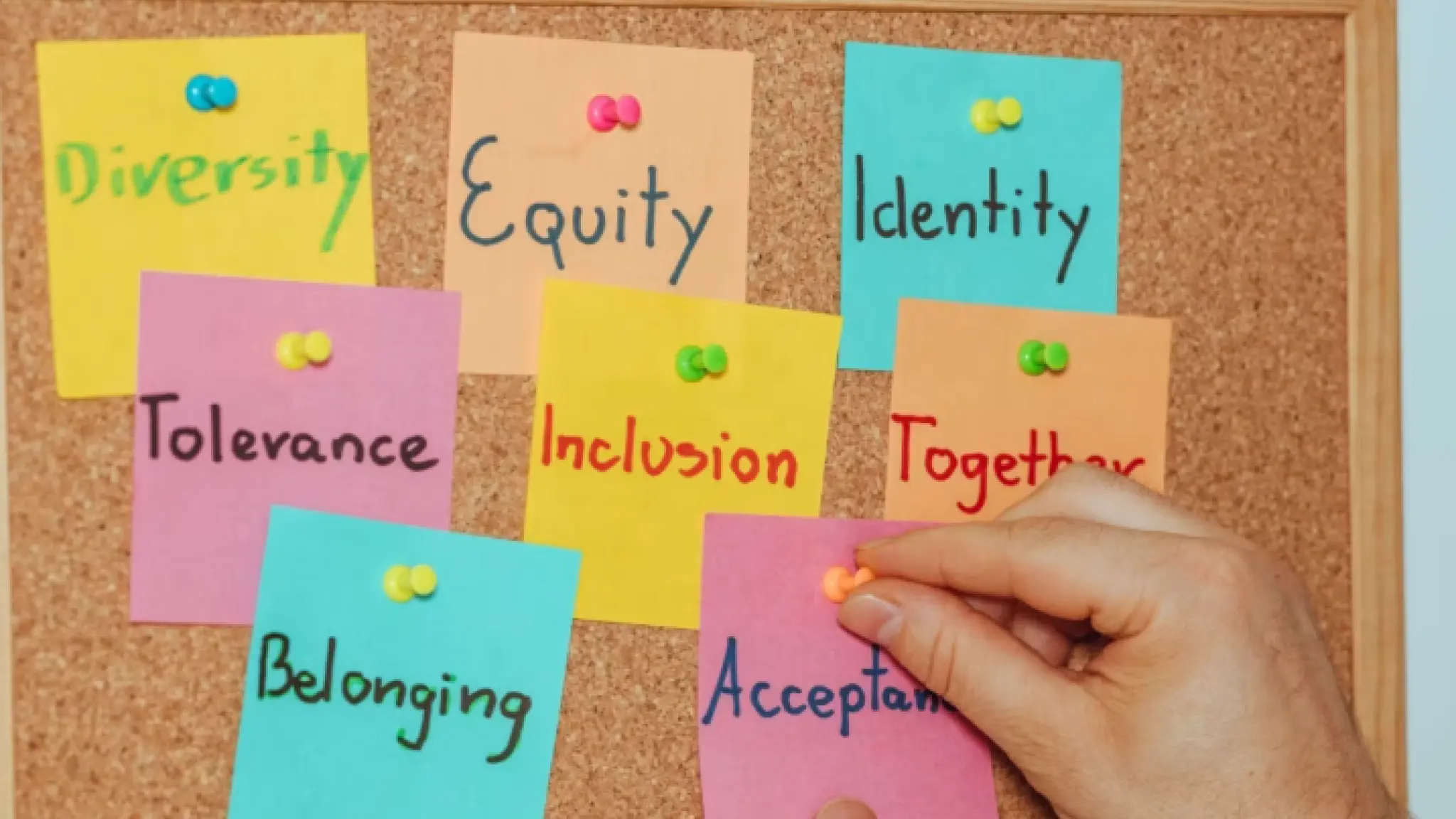 Een prikbord met gekleurde post-its waarop woorden staan als "Diversity," "Equity," "Identity," "Tolerance," "Inclusion," "Together," "Belonging" en "Acceptance"; een hand plaatst een briefje met het woord "Acceptance".