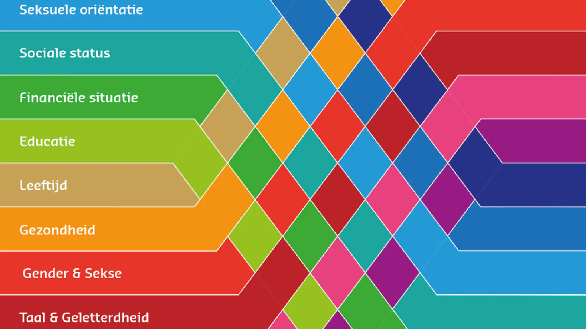 Diagram met gekleurde vlakken die twaalf onderwerpen van diversiteit en inclusie tonen, waaronder sociaal-culturele achtergrond, uiterlijke kenmerken, seksuele oriëntatie, sociale status, financiële situatie, educatie, leeftijd, gezondheid, gender & sekse, taal & geletterdheid, (arbeids)participatie, en religie & levensovertuiging. Lijnen en gekleurde blokken lopen in elkaar over om de onderlinge samenhang te visualiseren.